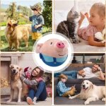 Balle active en peluche active moving pet plush toy jouet de balle rebondissante pour chiens balle interactive ... Balle active en peluche active moving pet plush toy jouet de balle rebondissante pour chiens balle interactive ...