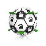 Jouet interactif pour chien - ballon de football - durable - flottant - grand format