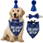 Bandana danniversaire pour chien - bleu - coton - taille unique - 3 pi�ces