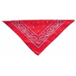 Accessoire d�guisement - 20 - bandana en tissu - blanc - 55cm x 55cm - mixte