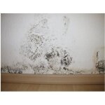 Barri�re anti - humidit� pot de 075 l