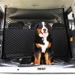 Barri�re de voiture pour chien filet coffre voiture pour chien couche double filet voiture chien filet ...