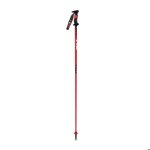 B�ton de ski aluminium vola sl