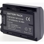 Batterie appareil photo pour sony son np - fz100