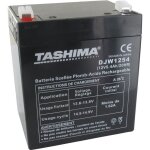 Batterie motoculture tashima 12v 54a adaptable pour castelgarden flymo et sabo Batterie motoculture tashima 12v 54a adaptable pour castelgarden flymo et sabo