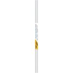 Bic velleda rouleau adhsif effaable  sec 100x200 cm - blanc x1