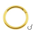 Bijou piercing lvre - nez anneau segment acier 316l anodis dor charnire votrepiercing - 1. 0 x 8 ...