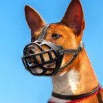 Bingopaw museau de chien en silicone muselière anti aboiement pour chiens 34 - 37cm pour moyens et grands ... Bingopaw museau de chien en silicone muselière anti aboiement pour chiens 34 - 37cm pour moyens et grands ...