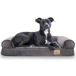 Bingopaw panier pour chien orthop�dique coussin chien d�houssable et lavable canap� chien moyenne taille ...