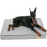 Bingopaw panier chien orthopdique coussin chien dhoussable tapis chien grande taille lavable 120x90x10cm ...