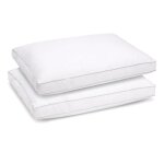 Lot de 2 oreillers 50x70 cm sensation duvet premium - confort souple  ferme - double passepoil - enveloppe ...