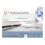 Bloc aquarelle harmony - grain torchon - 40x50cm - 300g / m2 - 12feuilles - hahnemhle