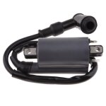 Bobine dallumage de moto haute performance pour buyang feishen linhai 260 260cc 300cc d300 g300 atv Bobine dallumage de moto haute performance pour buyang feishen linhai 260 260cc 300cc d300 g300 atv