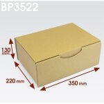 Bo�tes postales en carton - enveloppebulle - lot de 5 - 350x220x130 mm - marron - recyclable