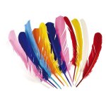 Boland native american indian feathers asst colours fancy dress accessories 12pk Boland native american indian feathers asst colours fancy dress accessories 12pk