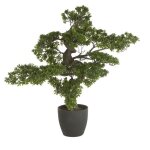 Bonsa� artificiel h80cm - atmosphera cr�ateur dint�rieur