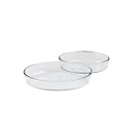 5five - lot de 2 plats ovales en verre