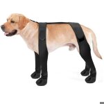 Bottes � bretelles pour chien - pzcc - antid�rapantes - r�glables - imperm�ables - protection des pattes ...