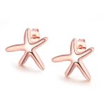 Boucles doreilles etoile de soir rose Boucles doreilles etoile de soir rose
