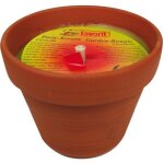 Bougie anti - moustique dans pot terre cuite