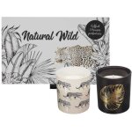 Bougie led - natural wild - coffret de 2 bougies parfum�es - fleur de coton et cachemire
