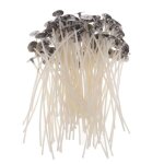Bougie100 pices pr cir coton pr tabl mches de bougie pour la fabrication de bougies bougie chauffe ...