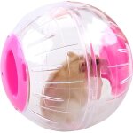 Boule hamsterboule de gym hamstersballon dexercice de coursemini - balle de course autour du petit animal ...