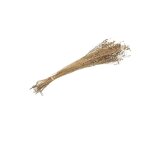 Gerbe �pis de lin fleurs s�ch�es 100g naturel beige ivoire cr�me �cru naturel taupe