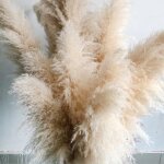 Bouquet de fleurs sches - naturel - pampas - 5 pcs - 100 cm - dcoration intrieure boho