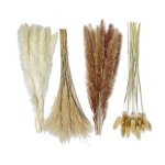 Bouquet de fleurs s�ch�es - xvx - 80 pi�ces - herbe de la pampa - 445 cm - multicolore