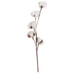 Branche de coton naturelle dcorative 10x10x55cm