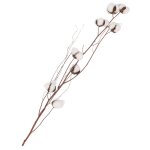 Branche fleurs de coton 80 cm - blanc