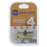 Bricard serial xp 18001 cylindre 30 + 30 mm double entrée nickelé niveau de sécurité 4 Bricard serial xp 18001 cylindre 30 + 30 mm double entrée nickelé niveau de sécurité 4