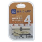Bricard serial xp 18004 cylindre 40 + 40 mm double entr�e nickel� niveau de s�curit� 4