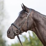 Bridon équitation muserolle combinée kieffer ultrasoft® - black / black lined - cob Bridon équitation muserolle combinée kieffer ultrasoft® - black / black lined - cob