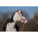 Bridons �quitation t de t sidepull biotack� - fuchsia - pur - sang