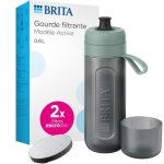 Gourde filtrante - brita - active - 0. 6l - filtre charbon actif - 2 microdiscs inclus