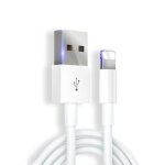 Cable chargeur ipad renforc  charge rapide 1 mtre blanc