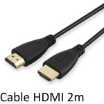 Cable hdmi male 2m pour nintendo switch console gold 3d full hd 4k television ecran 1080p rallonge