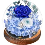 Cadeau la saint - valentin pour femmes rose �ternelle bleue rose sous cloche fleur pr�serv�e naturelle ...