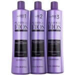 Cadiveu plastica dos fios - kit soin lissant professionnel 3x1l (shampoing treatment masque)