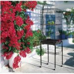 Cage  oiseaux sur pied volire pour perroquet perruches canaris calopsitte lgante h1506cm