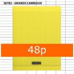 Cahier - calligraphe - 24x32 cm - 48 pages - grands carreaux - couverture polypro jaune