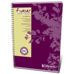 Cahier recycl calligraphe intgrale 21x297 180p 70g