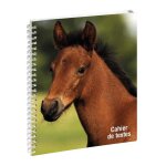 Cahier de textes  spirale cheval exacompta