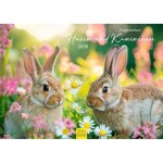 Calendrier 2026 de qualit� sup�rieure - motif lapins et lapins - format a4 - calendrier mural - calendrier ...