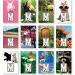Calendrier éphéméride lecas 2014 comique sur plaque nature Calendrier éphéméride lecas 2014 comique sur plaque nature