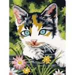 Canevas chaton gris et blanc - 035