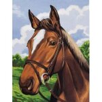 Canevas portrait cheval - 029