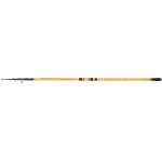 Canne de pêche shimano beastmaster fx surf tele 425 m 200 g - carbone Canne de pêche shimano beastmaster fx surf tele 425 m 200 g - carbone
